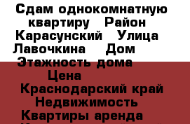 Сдам однокомнатную квартиру › Район ­ Карасунский › Улица ­ Лавочкина  › Дом ­ 29 › Этажность дома ­ 16 › Цена ­ 15 000 - Краснодарский край Недвижимость » Квартиры аренда   . Краснодарский край